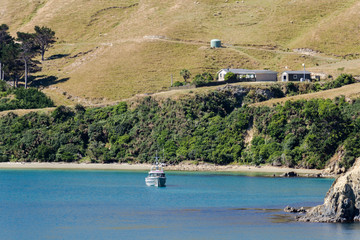 Shot from the top deck of a ferry, travelling from Wellington to Picton, New Zealand.