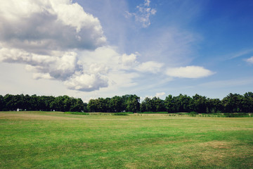 Green grass spring lawn at sunny day
