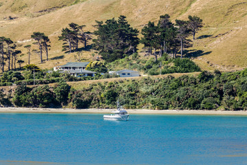 Shot from the top deck of a ferry, travelling from Wellington to Picton, New Zealand.