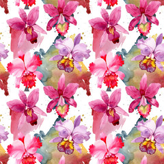 Wildflower pink orchid flower pattern in a watercolor style. Full name of the plant: pink orchid. Aquarelle wild flower for background, texture, wrapper pattern, frame or border.