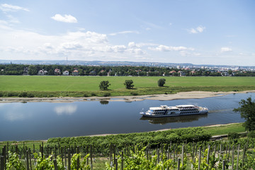 Vineyards on hill near river with ship in a summer day.