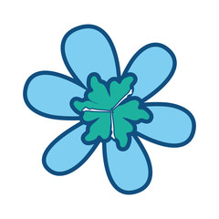 colored flower design vector illustration