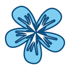 colored flower design vector illustration