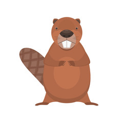 Cute cartoon flat vector standing beaver character. Funny brown beaver with two big teeth. Fat animal icon isolated on white background