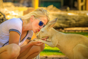 Female tourist interacting with kangaroo during an encounter with australian wildlife. Blonde...
