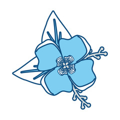 blue flower with leaves  design