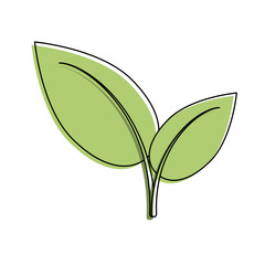 Leaves plant symbol icon vector illustration graphic design