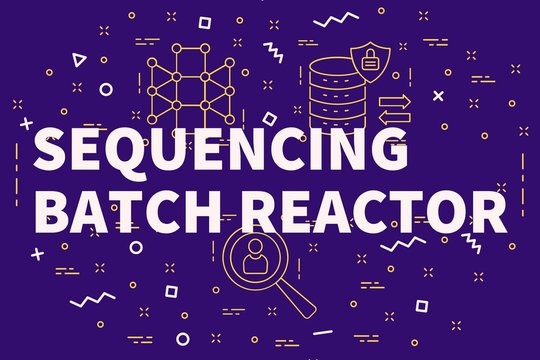 Conceptual business illustration with the words sequencing batch reactor