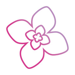 purple  flower design vector illustration