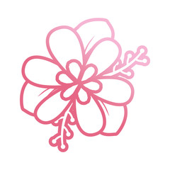 Fototapeta premium pink flower design vector illustration