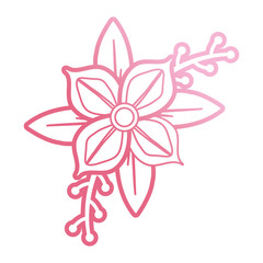pink flower design  vector illustration
