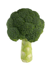 Broccoli