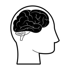 Human brain symbol icon vector illustration graphic design