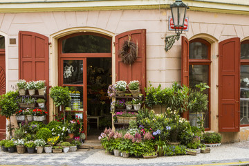 Fototapeta na wymiar Flower shop in Prague. Czech Republic