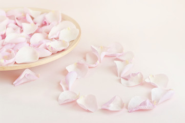 Fototapeta na wymiar pink rose petal heart on soft pink background