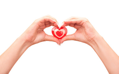 Fototapeta premium Young female hands