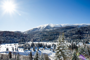 Mountain in winter - Bosnian olympic mountain Bjelasnica