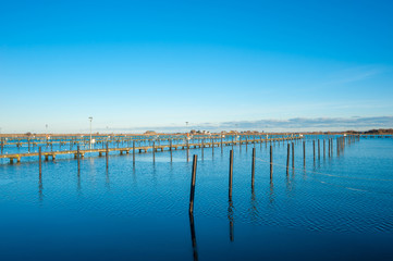 Anlegestelle für Segelyachten im Yachthafen von Heiligenhafen