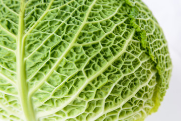 Close-up view of the crumpled structure of a green cabbage leaf.