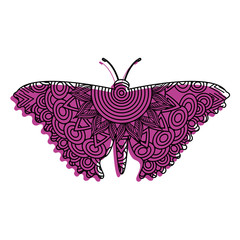 hand drawn for adult coloring pages with butterfly zentangle  vector illustration