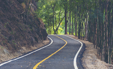 way to the nature, nature road