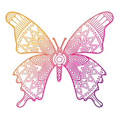 hand drawn for adult coloring pages with butterfly zentangle  vector illustration color line gradient design
