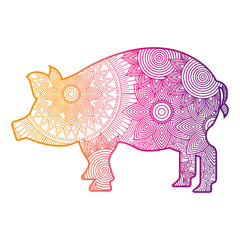 hand drawn for adult coloring pages with pig zentangle  vector illustration color line gradient design