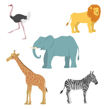 vector cartoon african animals
