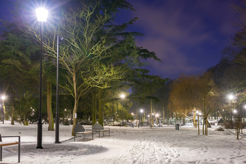 Snowy winter in the park at dusk, Poland