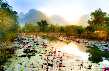 landscape dawn in Yen stream in Hanoi, Vietnam