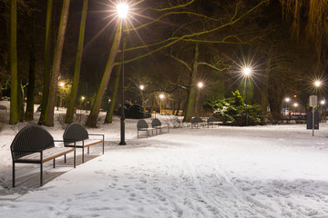 Snowy winter in the park at dusk, Poland