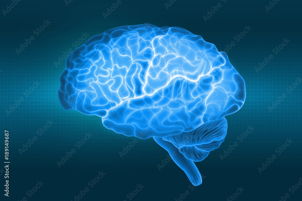 Poster human brain is a side view in x-rays. parts of the brain. 3d illustration in blue light on a dark ba