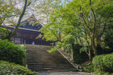 Fototapeta na wymiar 三井寺（園城寺）境内の風景