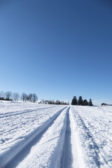 Obraz premium winter sports cross-country skiing