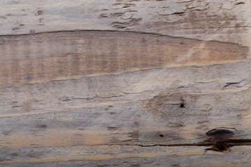 Rough weathered wooden board. Rustic texture for background