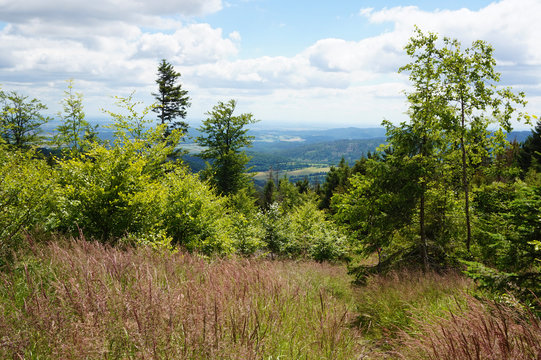 Fototapeta nice jeseniky mountains landscape