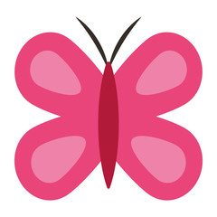 cute pink butterfly wings insect decoration vector illustration