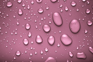 Drops of water on a color background. Pink. Toned