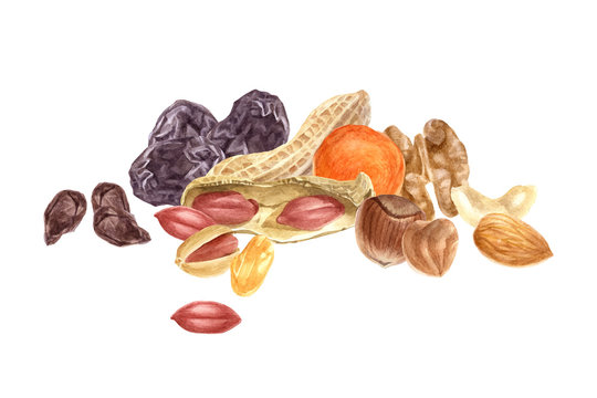 Nuts and dried fruits watercolor border