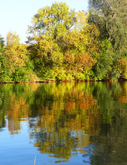 Fototapeta na wymiar Pristine riverbank with trees and their reflection. River Tisza, Hungary in the Tokaj wine region.