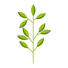 spring branch with green leaves natural vector illustration