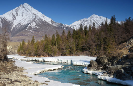 mountain river Argut in the Altai mountains