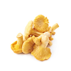 Yellow chanterelle mushroom isolated