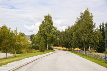 Fototapeta na wymiar Road in Norway village
