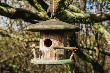 Small bird house in the garden