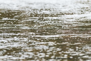 stream of water. water waves surface