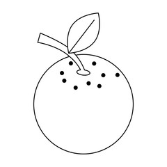 Orange citric fruit icon vector illustration graphic design