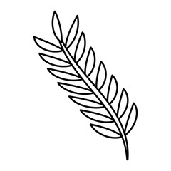 cute  butterfly wings insect decoration vector illustration outline image