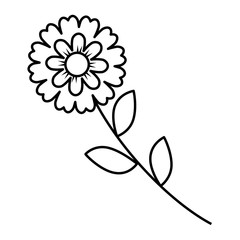 flower stem leaves nature petals decoration vector illustration outline image