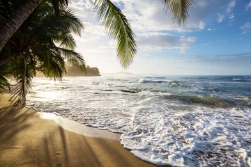 Küste in Costa Rica © Galyna Andrushko